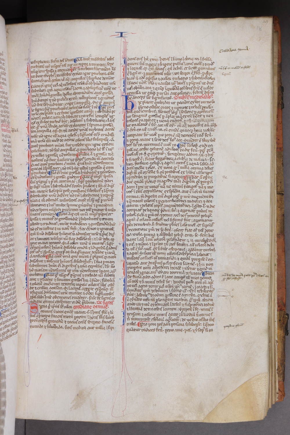 Folio 18 recto